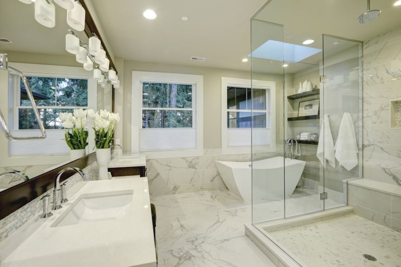 Luxurious Shower Renovations
